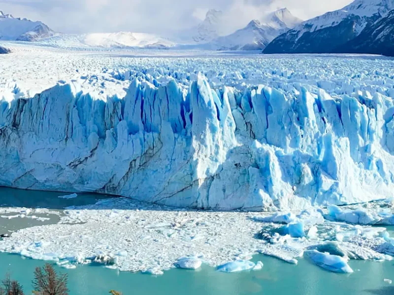 el-calafate[1]
